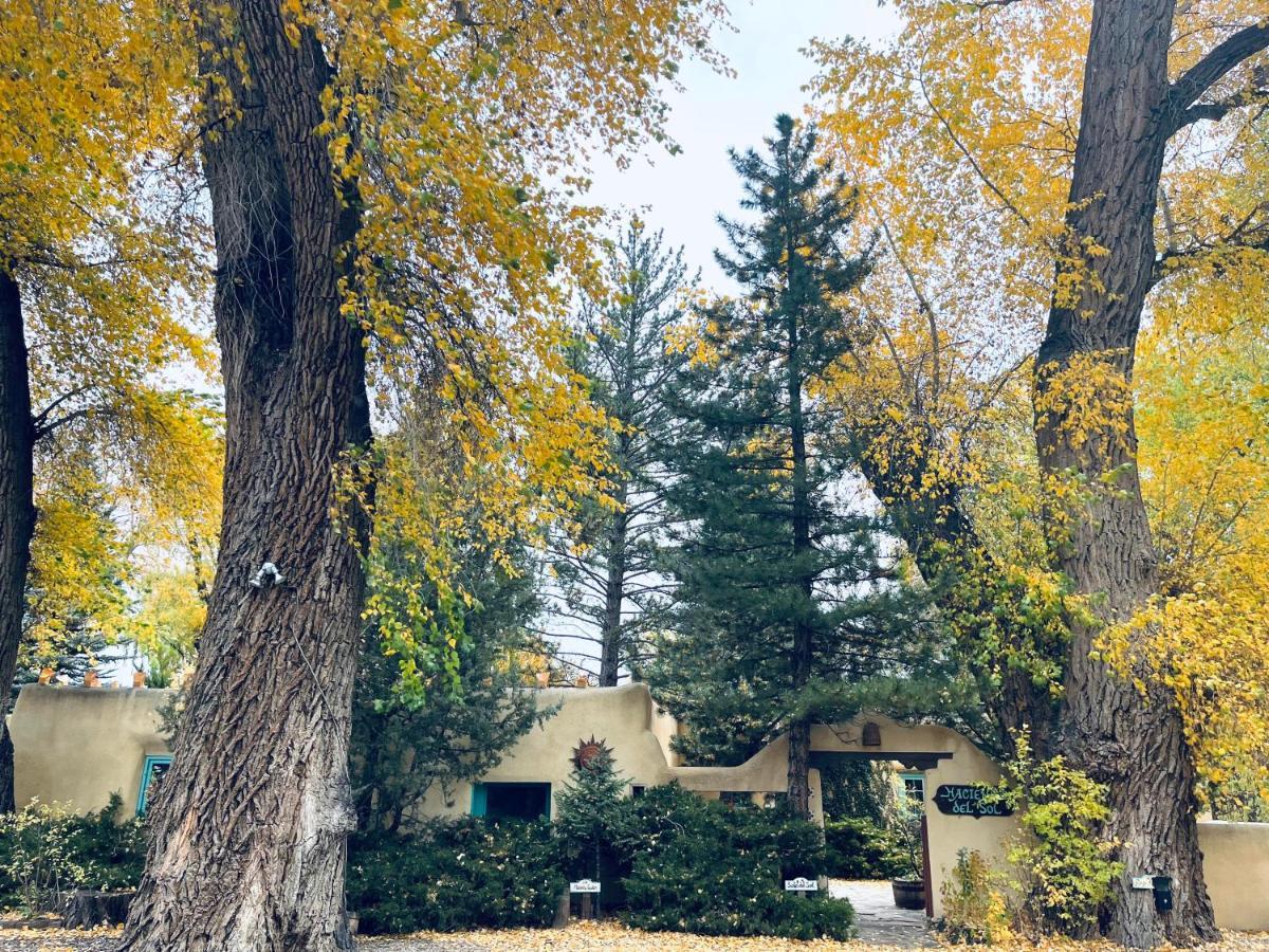 Bed and breakfast Hacienda Del Sol